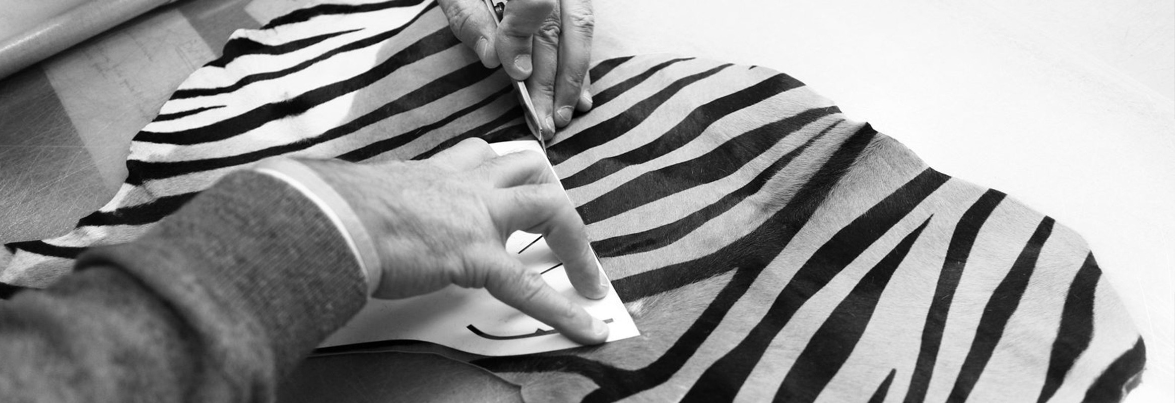 featured-03-zonkey
